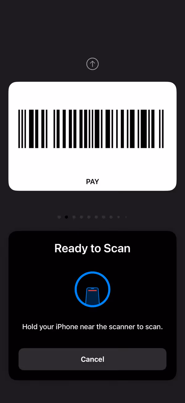 Checkout mode: the barcode fills the screen